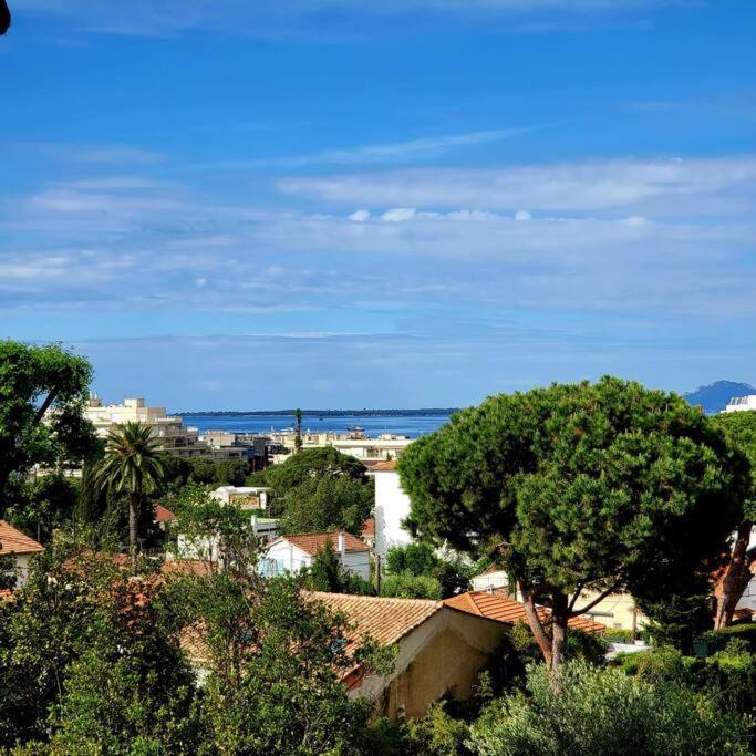 Grand Studio Localisation Ideale Antibes Exterior foto